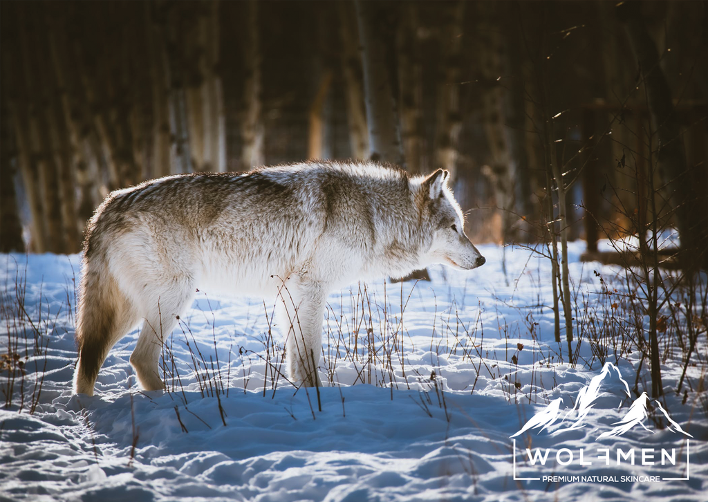 Wolf and sales iron beard oil